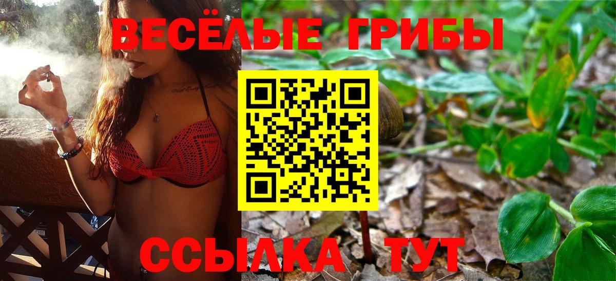Псилоцибиновые грибы GOLDEN TEACHER Ейск