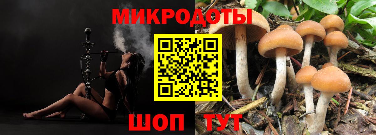 Галлюциногенные грибы Cubensis  Ейск 